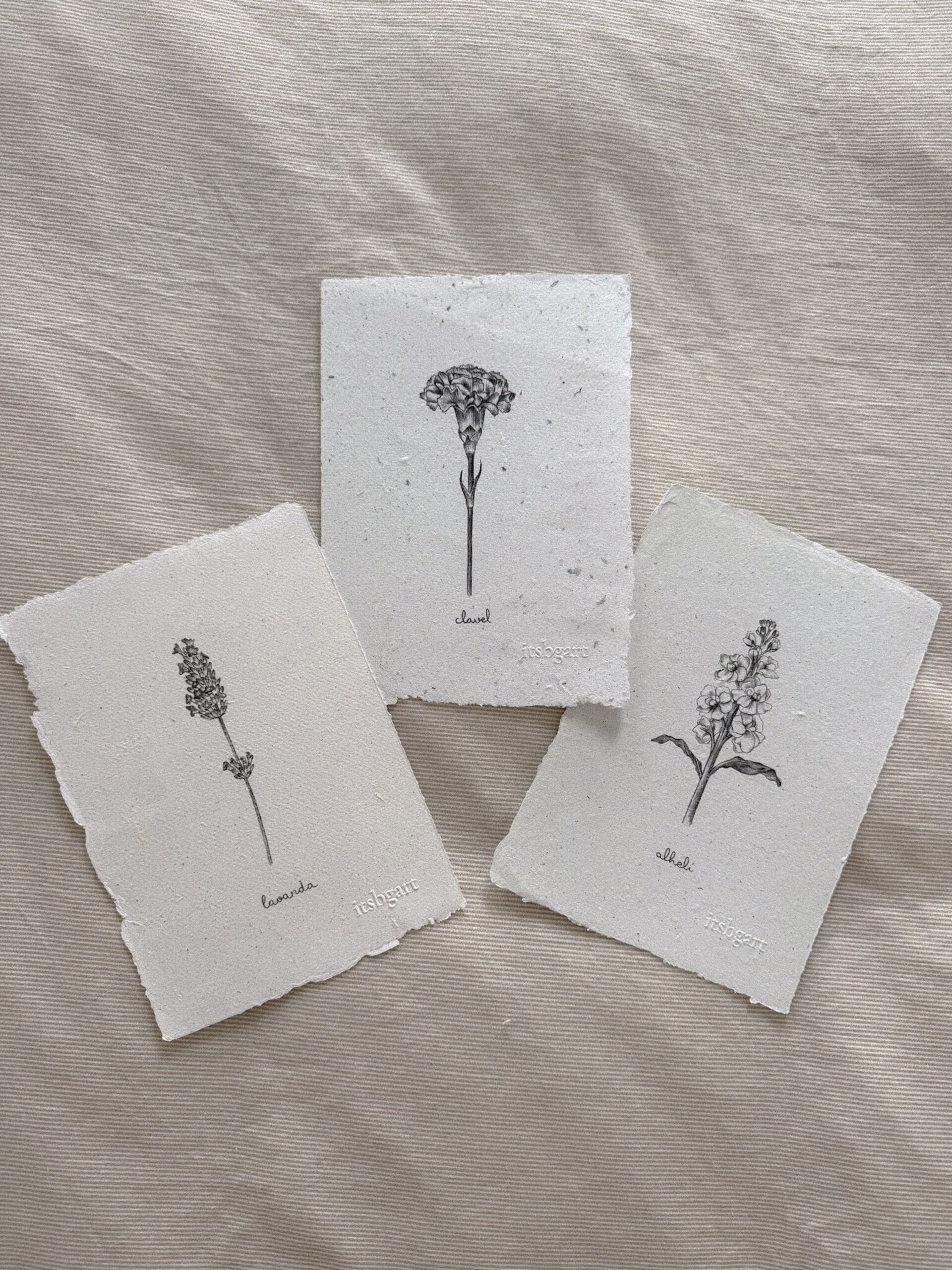 Packs Colecciones - 3