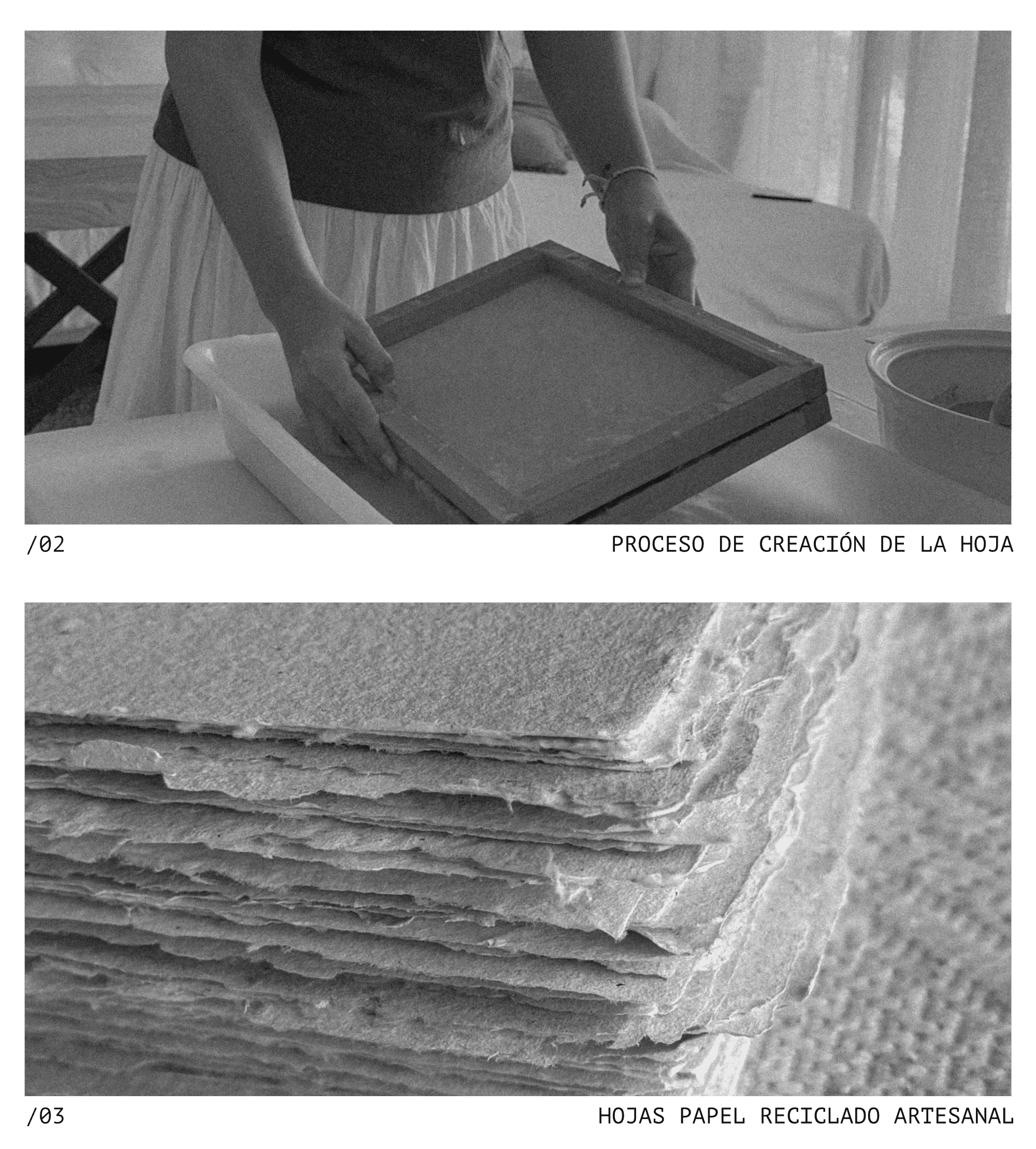 Proceso artesanal papel