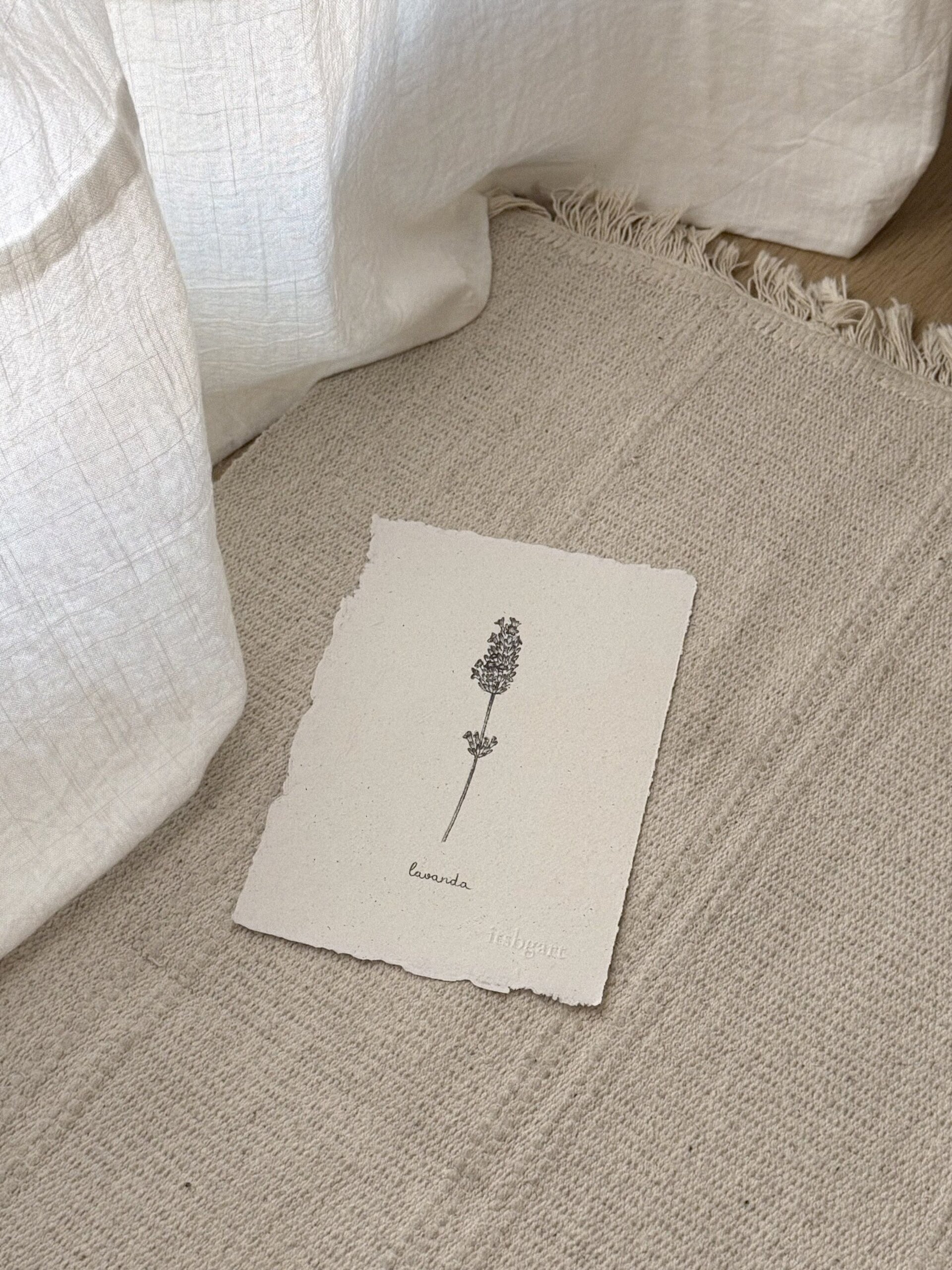Lavanda - 2