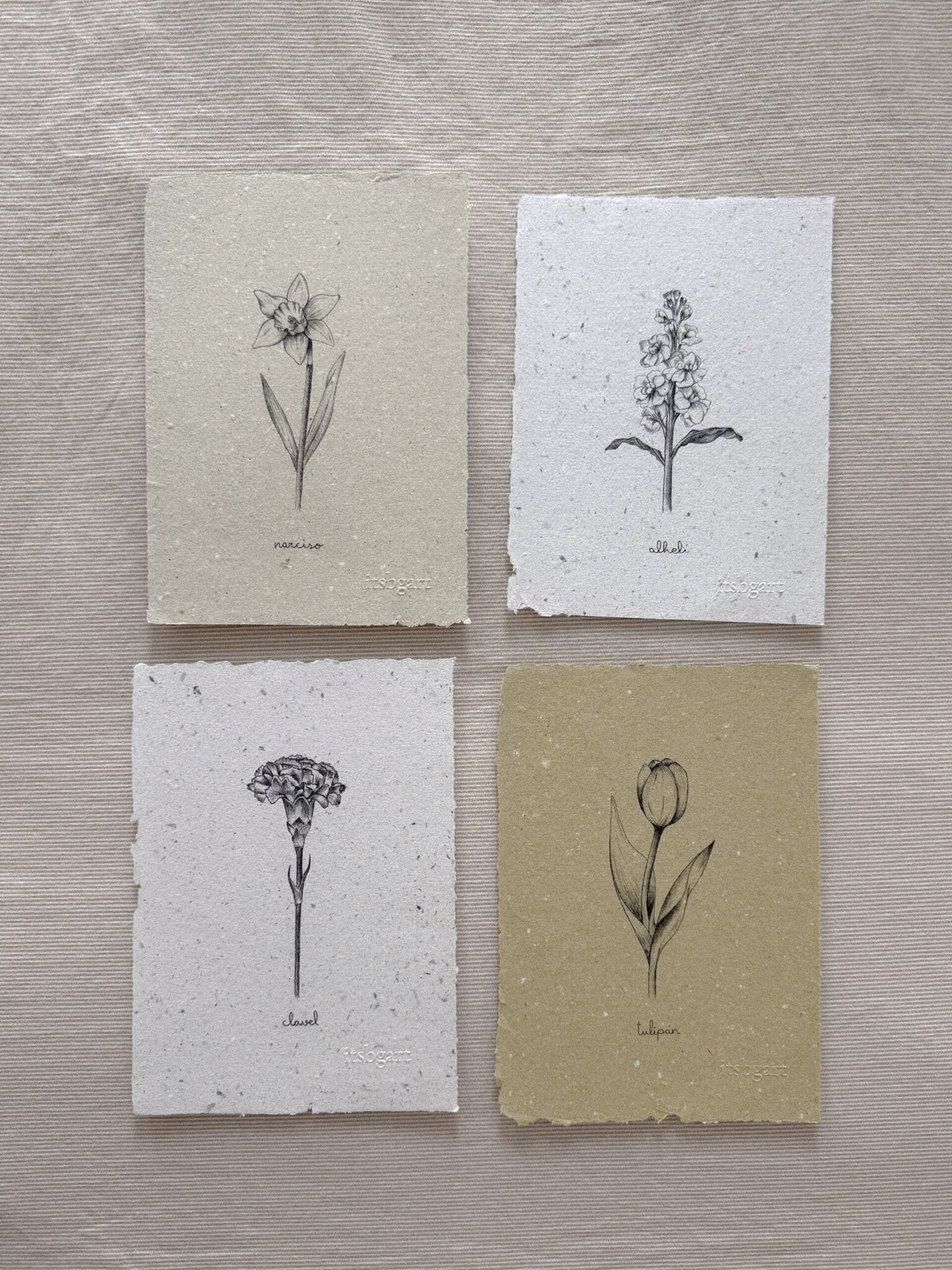 Packs Colecciones - 5