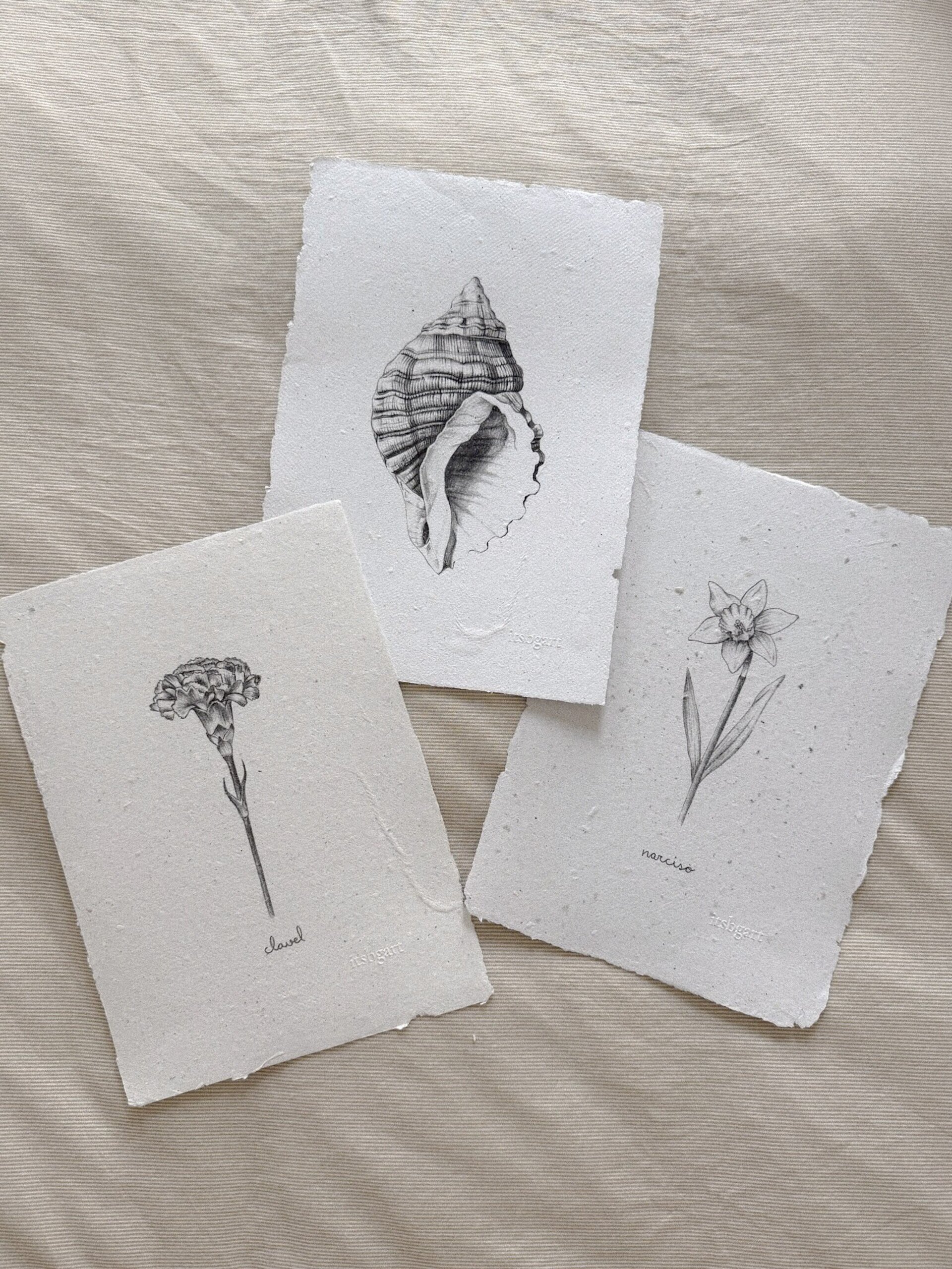 Packs Colecciones - 4