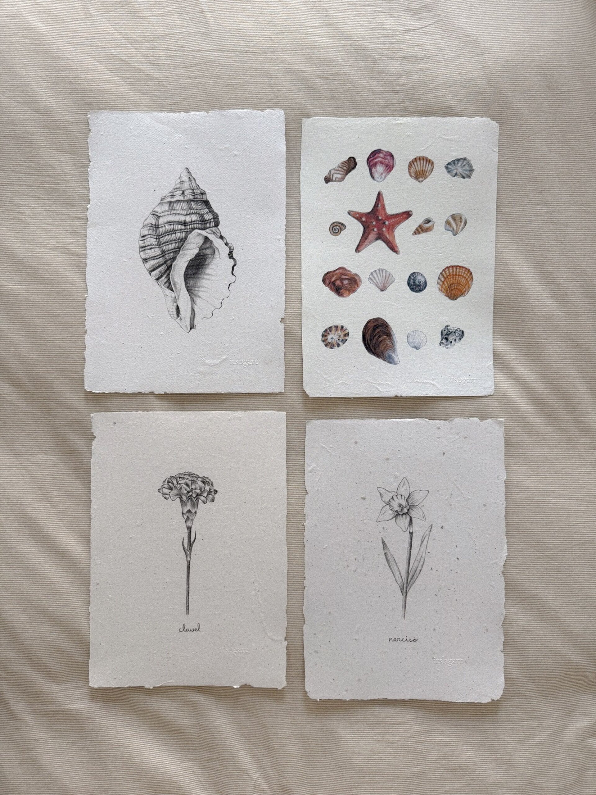 Packs Colecciones - 6